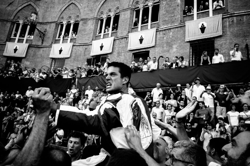 andrea-scire-palio-siena-giraffes-joy-14
