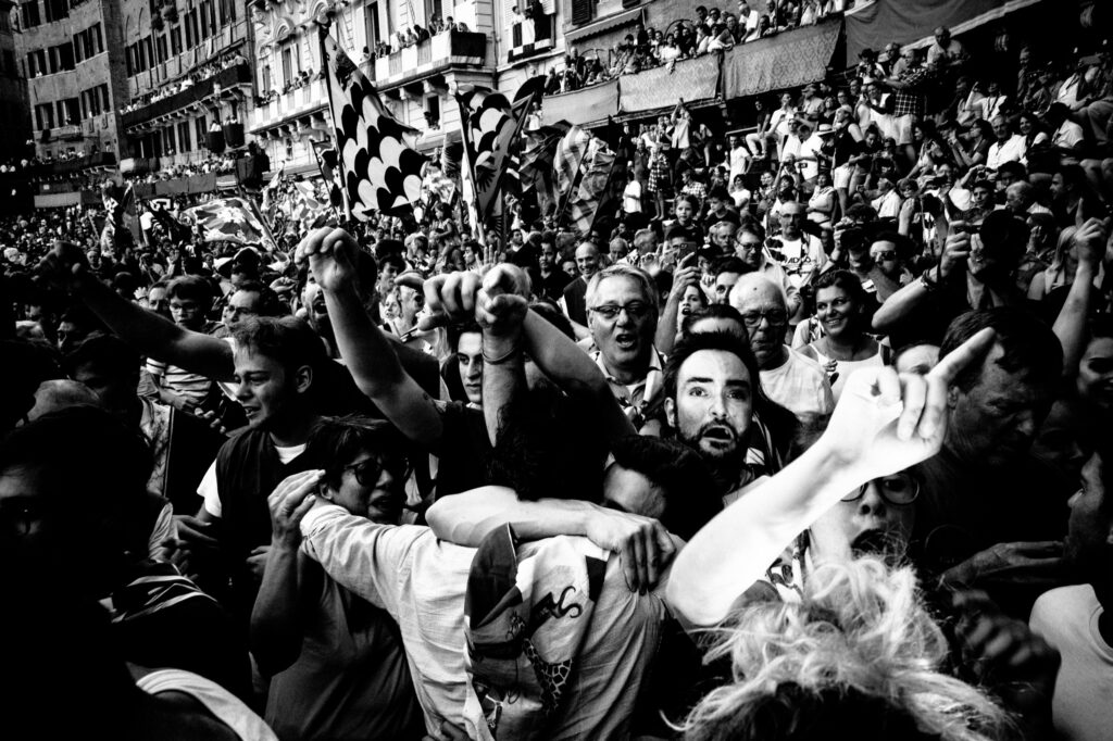 andrea-scire-palio-siena-giraffes-joy-23