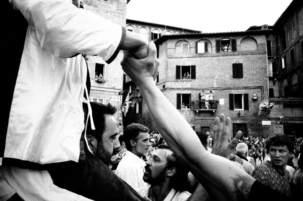 andrea-scire-palio-siena-giraffes-joy-27